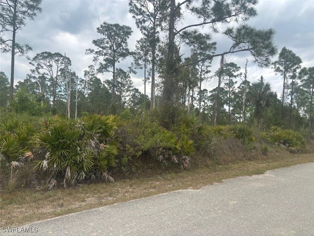 1105 Plumosa Avenue Lehigh Acres FL 33972 225020722 image1