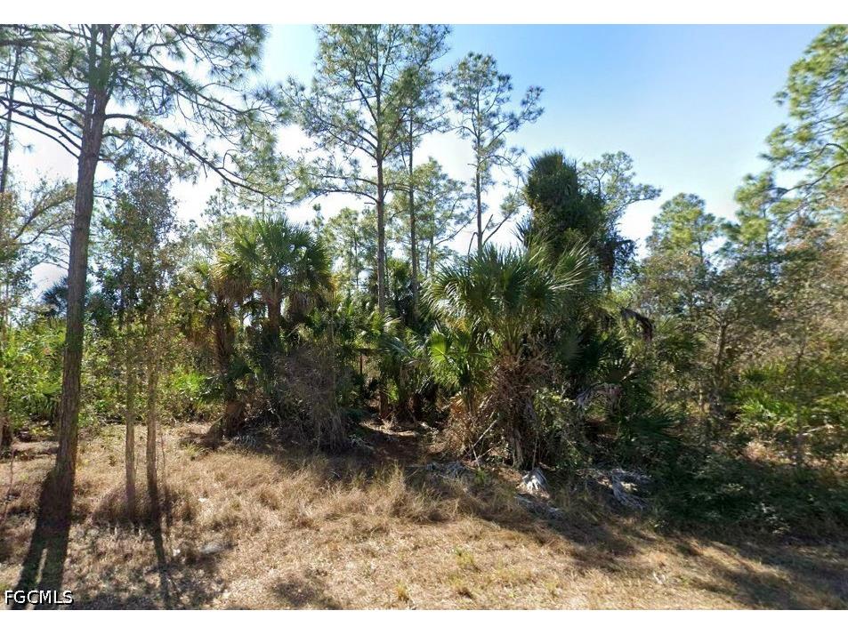1105 W 14th Street Lehigh Acres FL 33972 2025023255 image1