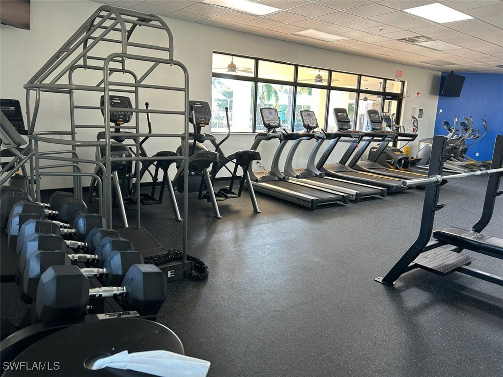 11050 Longwing Drive Fort Myers FL 33912 225082052 image43