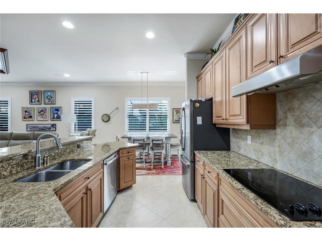 11050 Longwing Drive Fort Myers FL 33912 225082052 image7