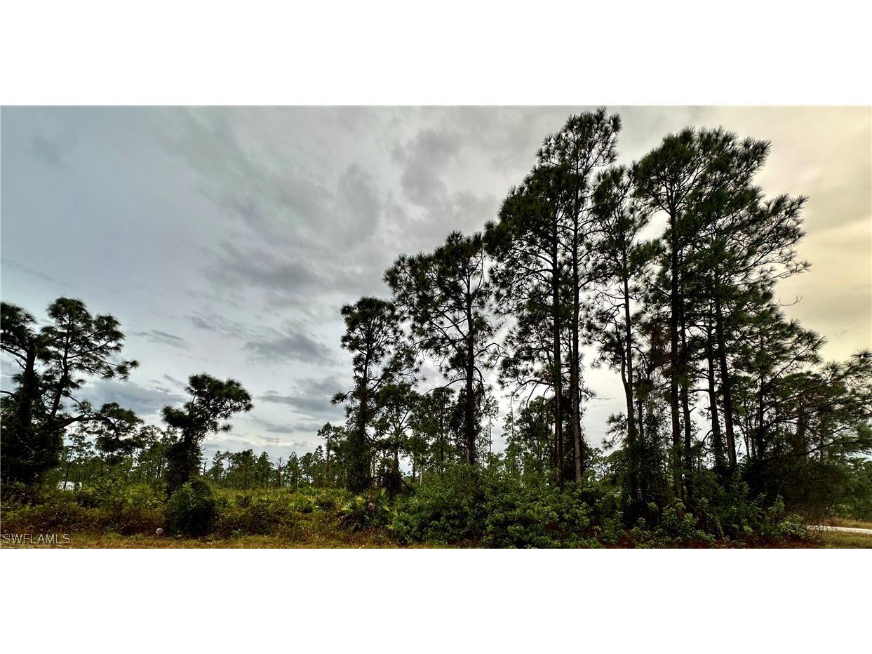 1106 Elegans Street E Lehigh Acres FL 33974 224005339 image1