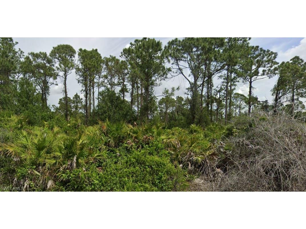 1107 Capri Street E Lehigh Acres FL 33974 223049160 image1