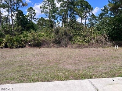 1107 Enrique Street E Lehigh Acres FL 33974 2026012733 image38