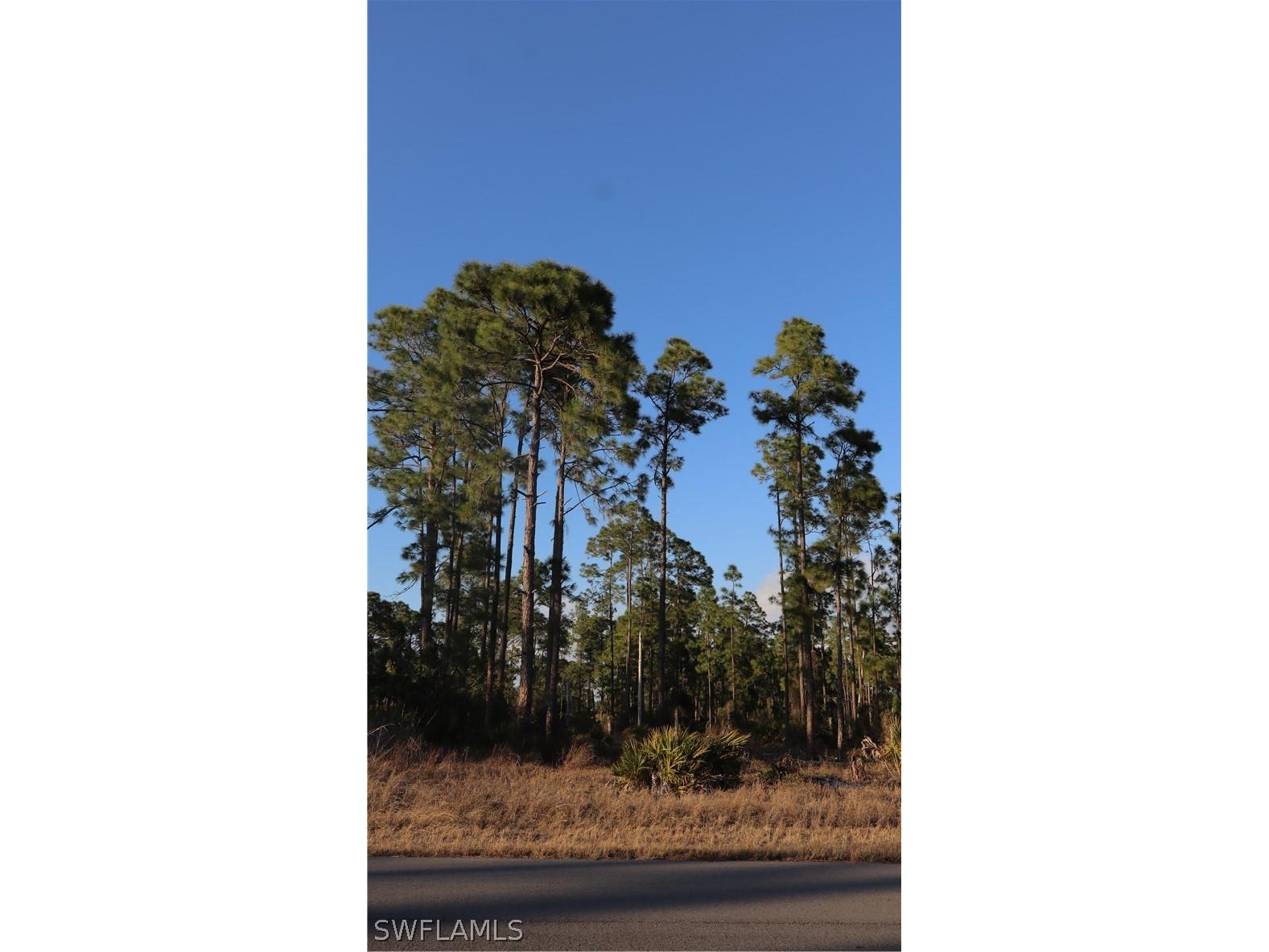 1107 Florence Street E Lehigh Acres FL 33974 225082057 image1