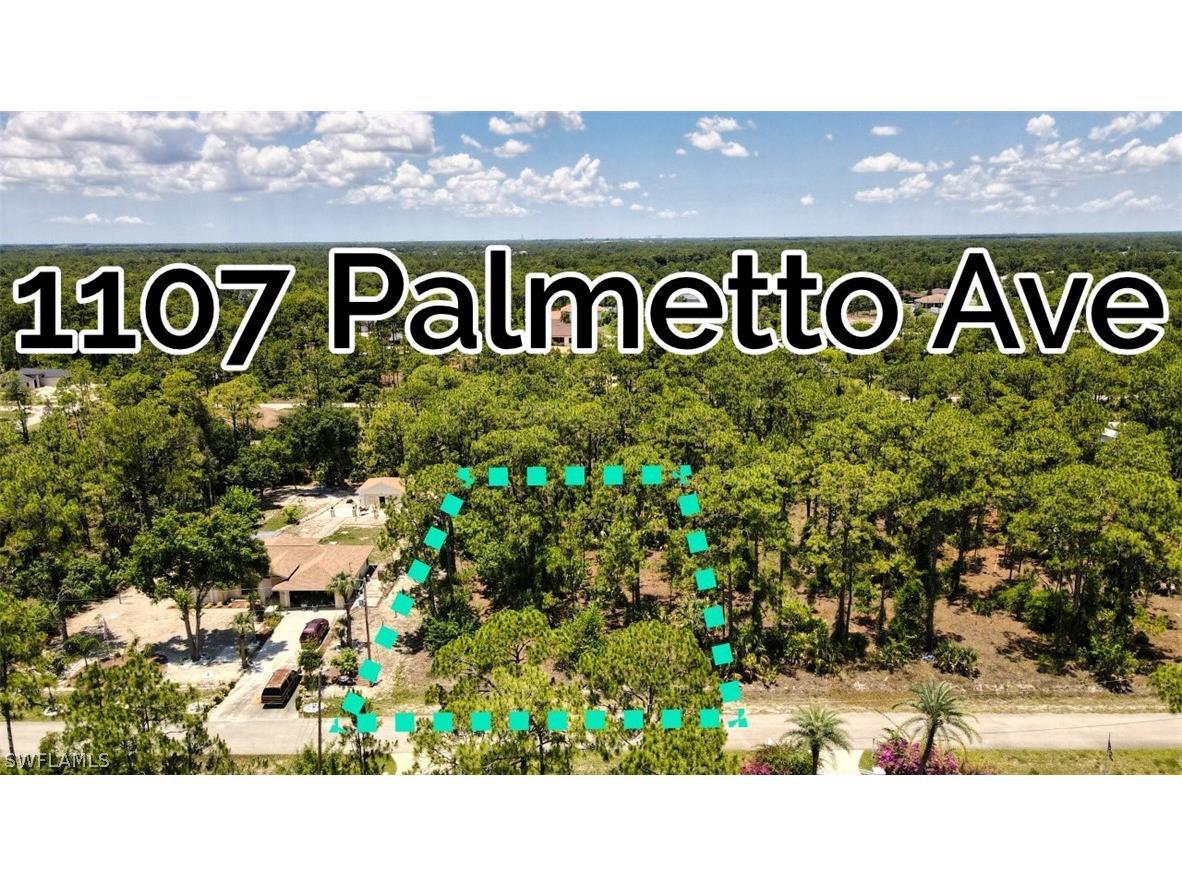 1107 Palmetto Avenue Lehigh Acres FL 33972 224049812 image1