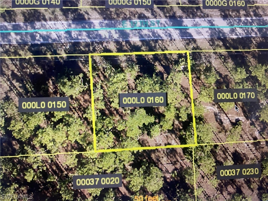 1108 E 12th Street Lehigh Acres FL 33972 222039664 image1