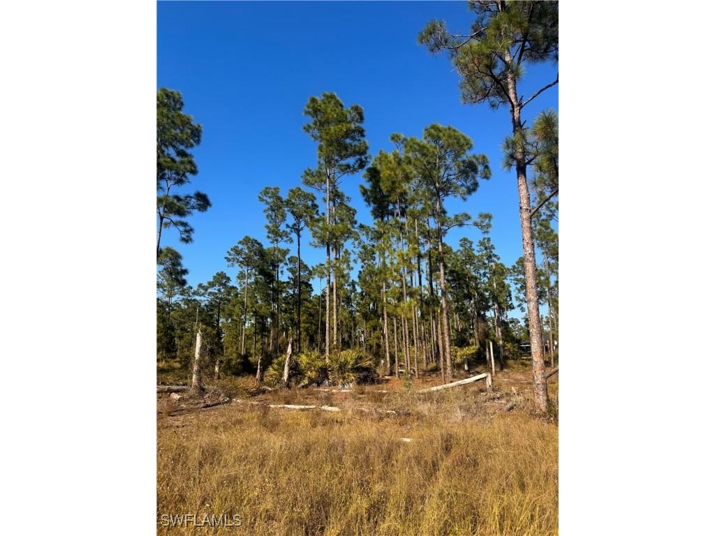 1109 Florence Street E Lehigh Acres FL 33974 225082055 image1