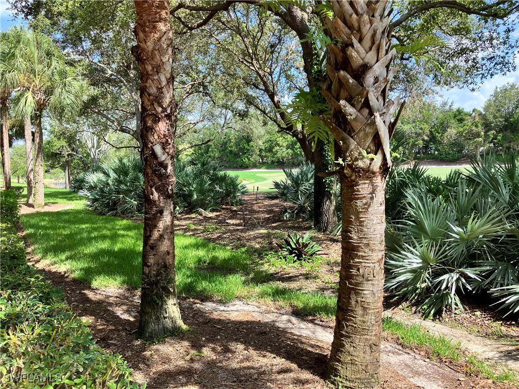 11091 Corsia Trieste Way #103 Bonita Springs FL 34135 225055542 image27