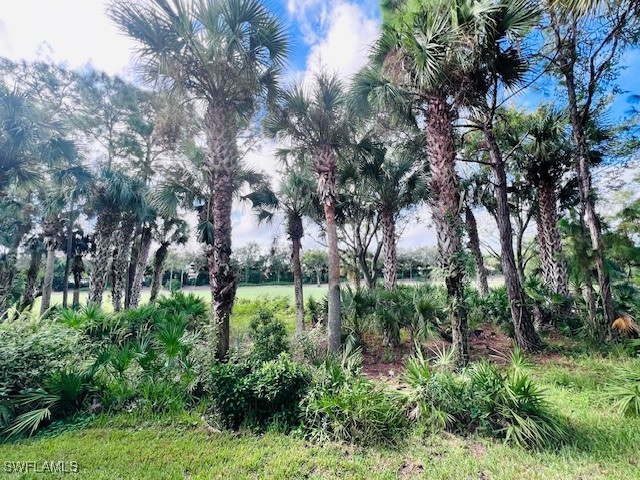 11091 Corsia Trieste Way #106 Bonita Springs FL 34135 225073671 image23