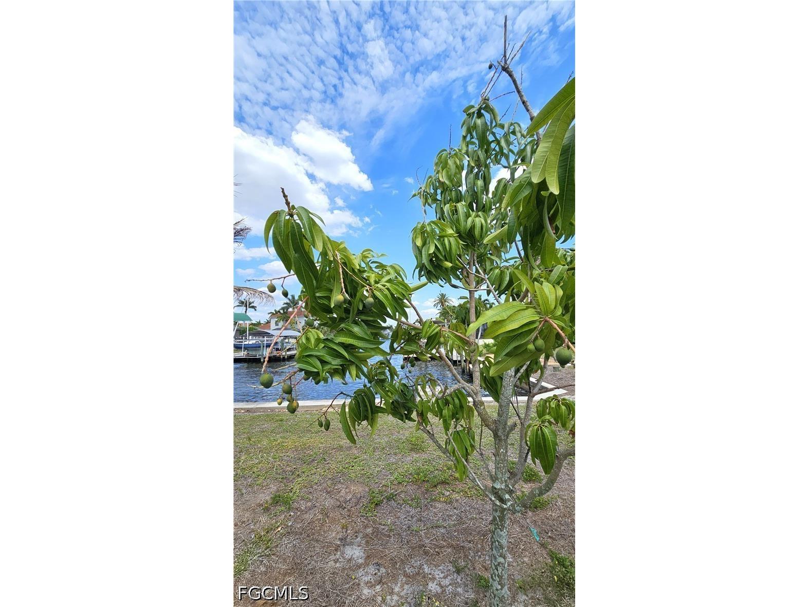 111 SW 58th Terrace Cape Coral FL 33914 2026018816 image3