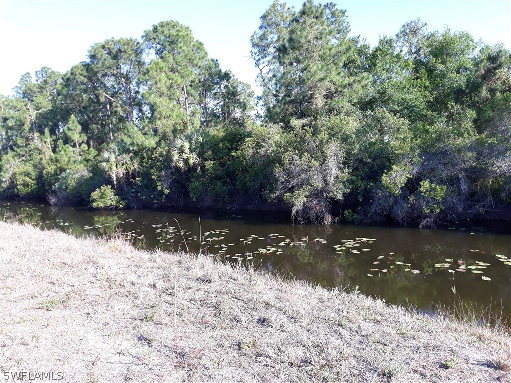 1110 Cumming Street E Lehigh Acres FL 33974 223011369 image1