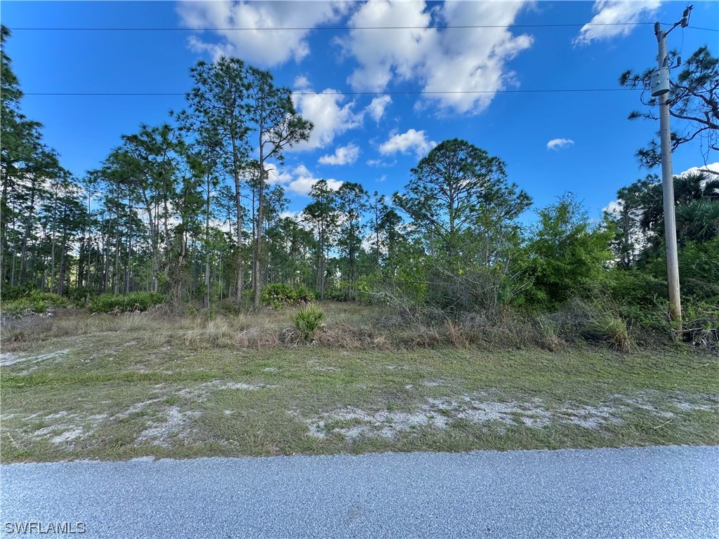 1110 Leroy Avenue Lehigh Acres FL 33972 224010460 image1
