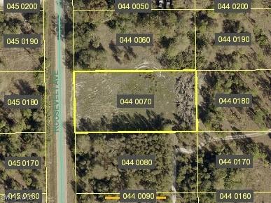 1110 Roosevelt Avenue Lehigh Acres FL 33936 225079957 image1