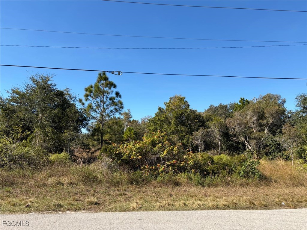 1111 Carl Avenue Lehigh Acres FL 33971 2025024882 image4