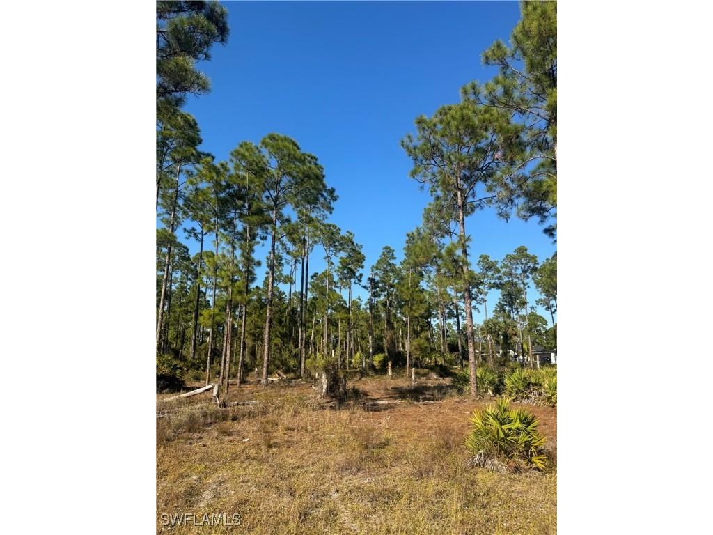 1111 Florence Street E Lehigh Acres FL 33974 225082058 image1