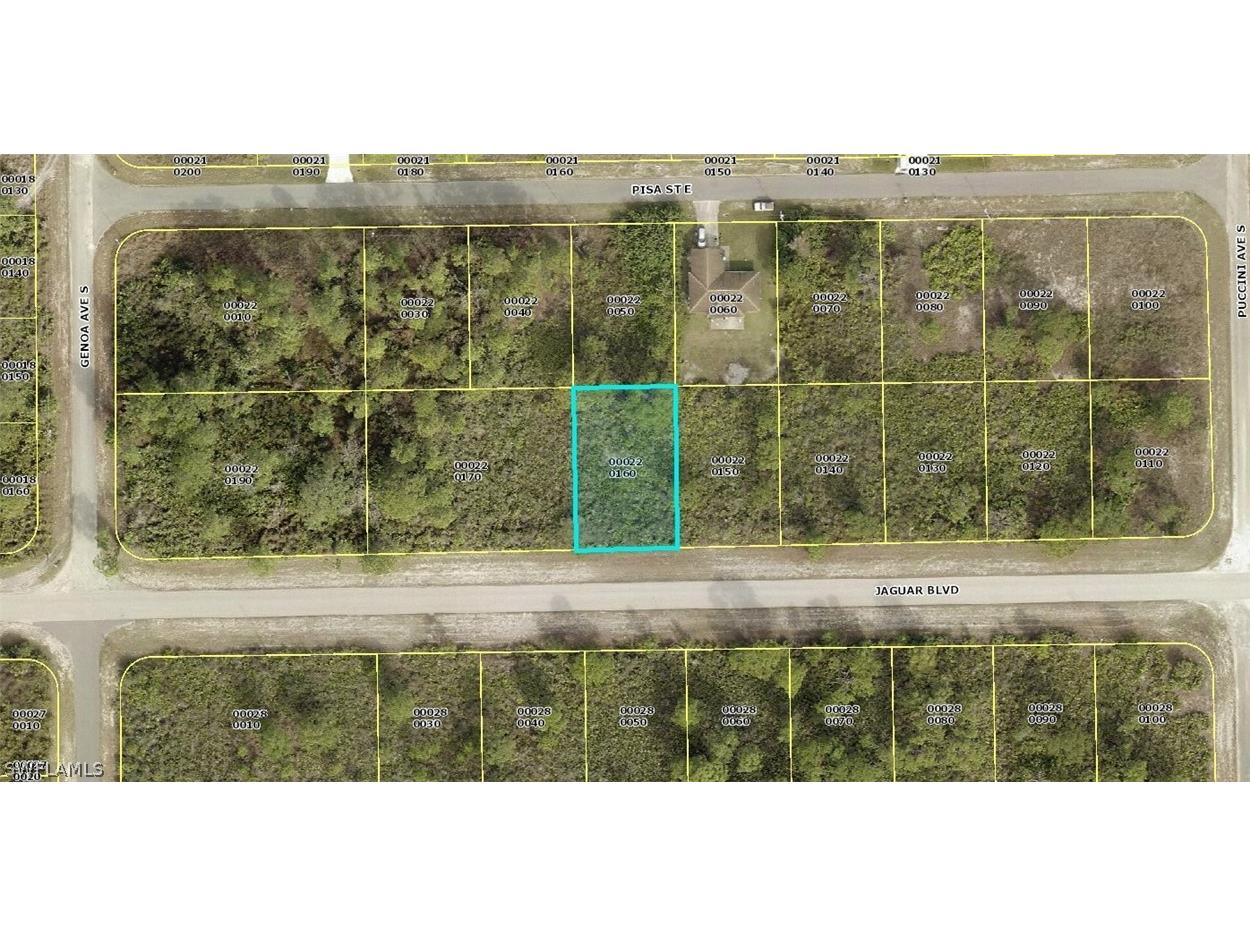 1111 Jaguar Boulevard Lehigh Acres FL 33974 222033706 image1