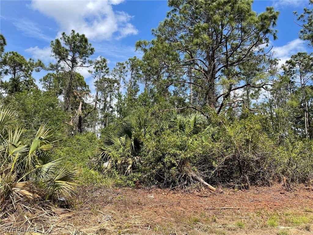 1111 Ralph Street Lehigh Acres FL 33974 223040678 image1