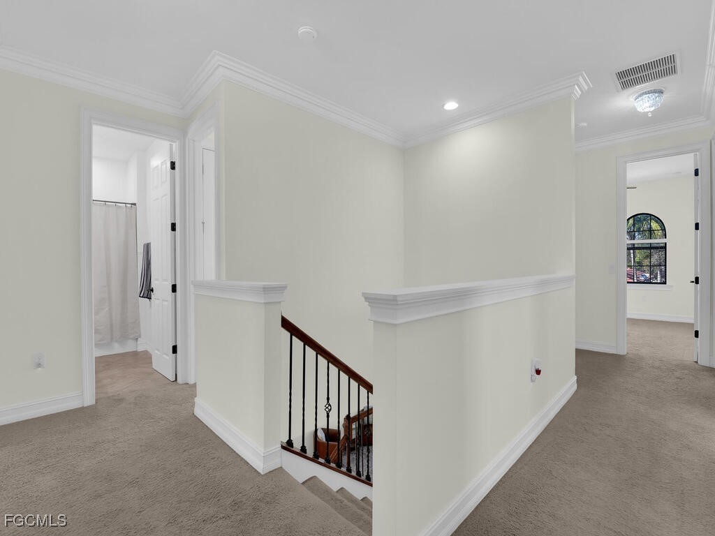 11118 Monte Carlo Boulevard Bonita Springs FL 34135 2026005813 image21