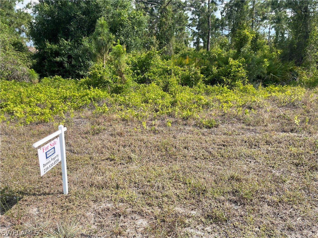 1112 Colonial Street E Lehigh Acres FL 33974 224040135 image1