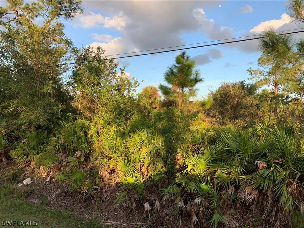 1112 Michael Avenue Lehigh Acres FL 33936 223000186 image1