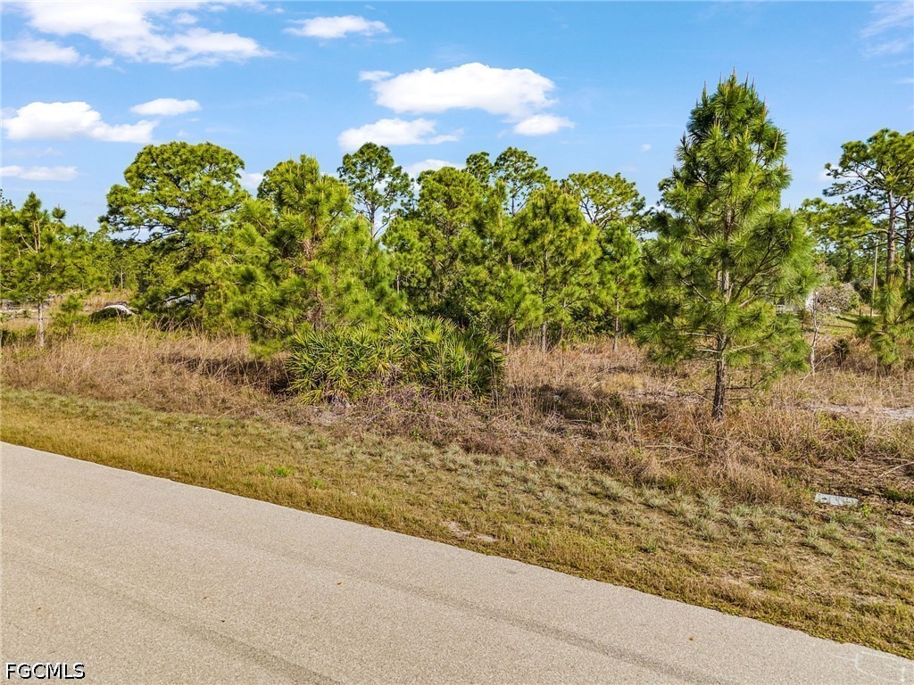 1113 Darling Street E Lehigh Acres FL 33974 2026016328 image11