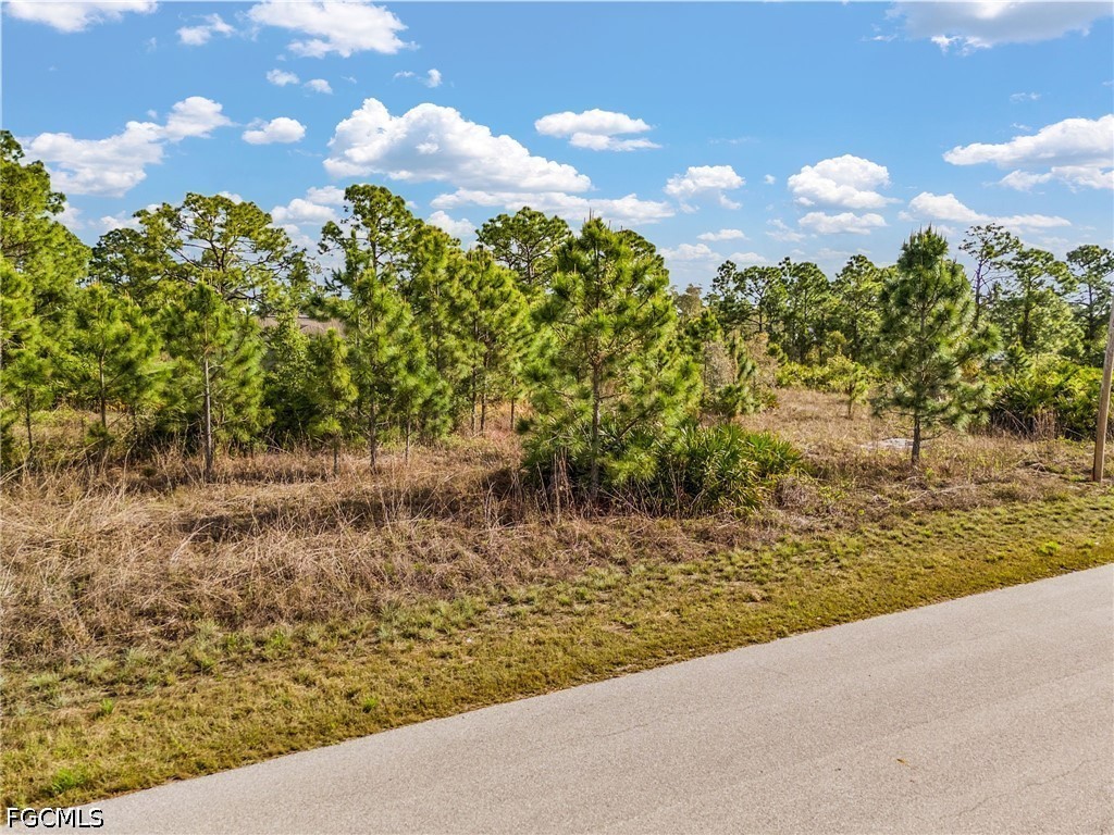1113 Darling Street E Lehigh Acres FL 33974 2026016328 image5