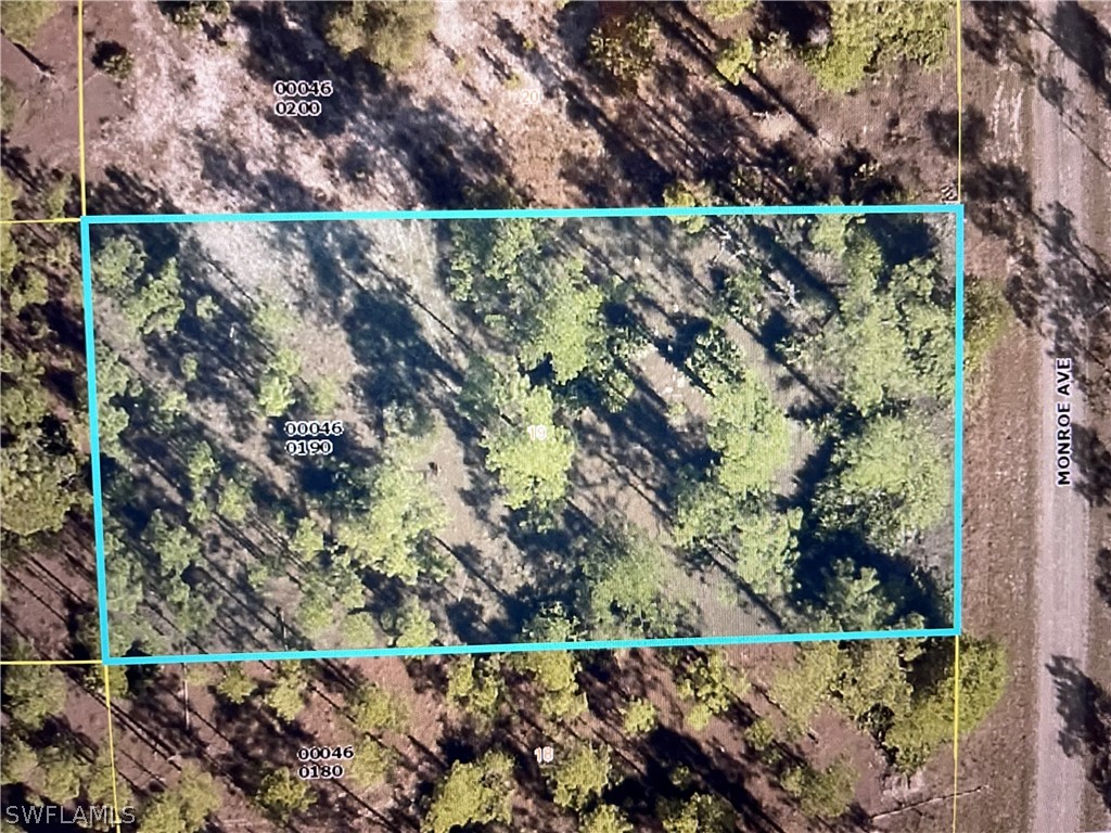 1113 Monroe Avenue Lehigh Acres FL 33972 222046456 image1