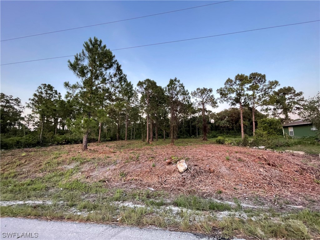 1114 Henry Avenue Lehigh Acres FL 33972 223056024 image1