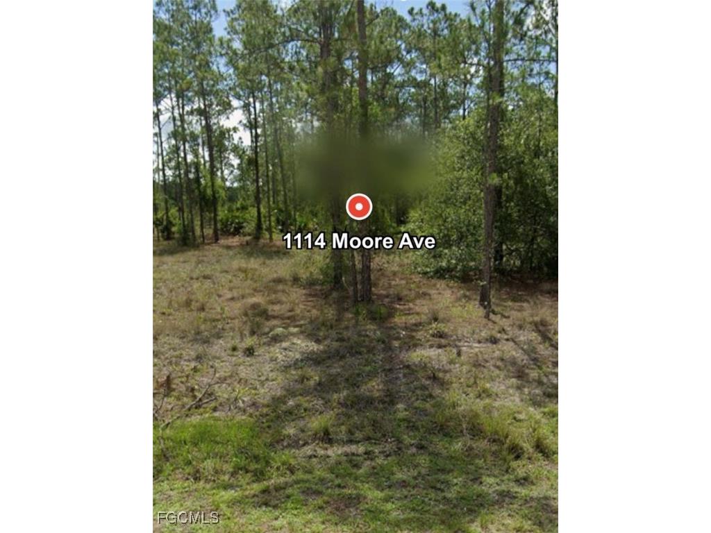 1114 Moore Avenue Lehigh Acres FL 33972 2025007490 image8