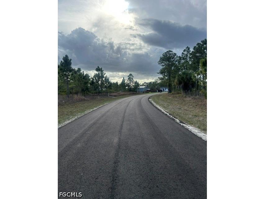 1115 Bayliss Street E Lehigh Acres FL 33974 2026027949 image2