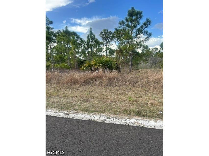 1115 Bayliss Street E Lehigh Acres FL 33974 2026027949 image3