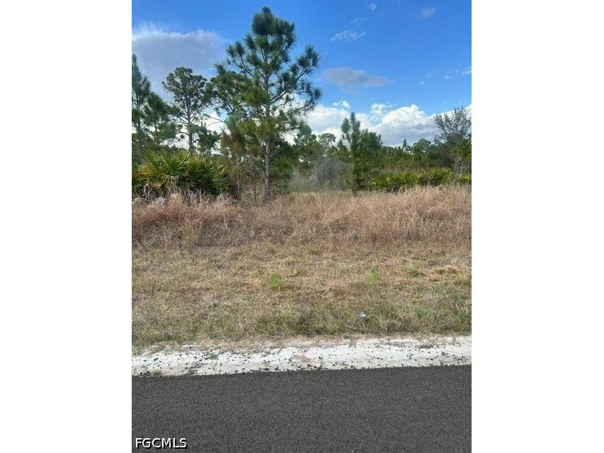 1115 Bayliss Street E Lehigh Acres FL 33974 2026027949 image4