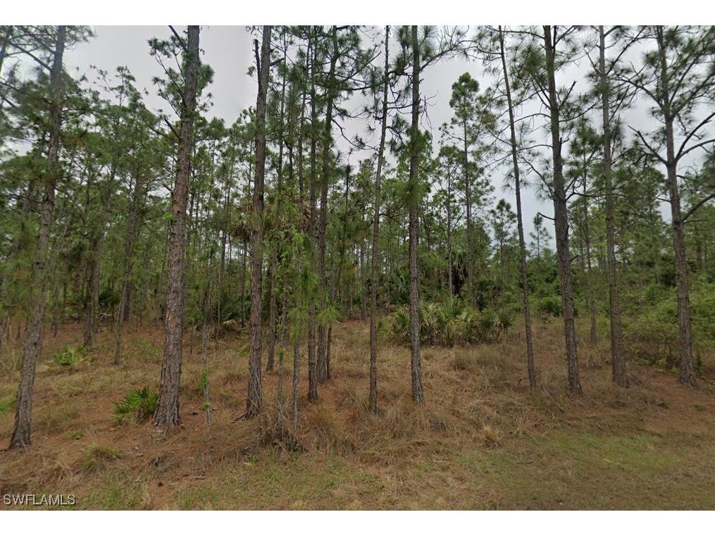 1115 Lincoln Avenue Lehigh Acres FL 33972 223057680 image1