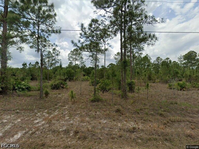 1115 Mcarthur Avenue Lehigh Acres FL 33936 2026013166 image1