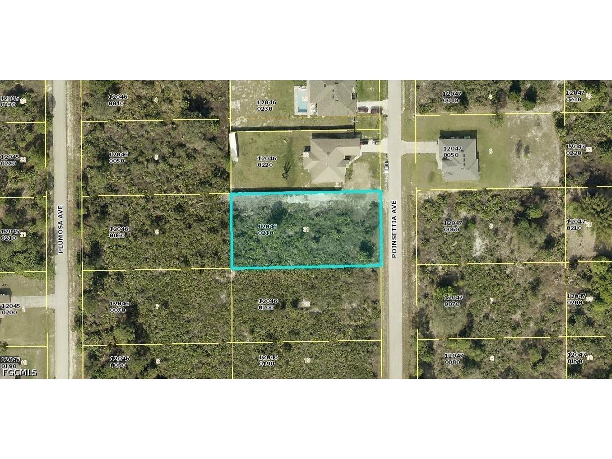 1115 Poinsettia Avenue Lehigh Acres FL 33972 2026015302 image1