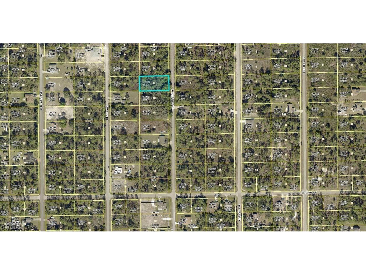 1115 Prospect Avenue Lehigh Acres FL 33972 223021059 image1