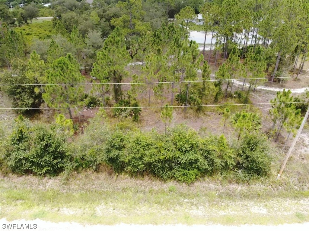 1115 Roosevelt Avenue Lehigh Acres FL 33936 223051128 image1