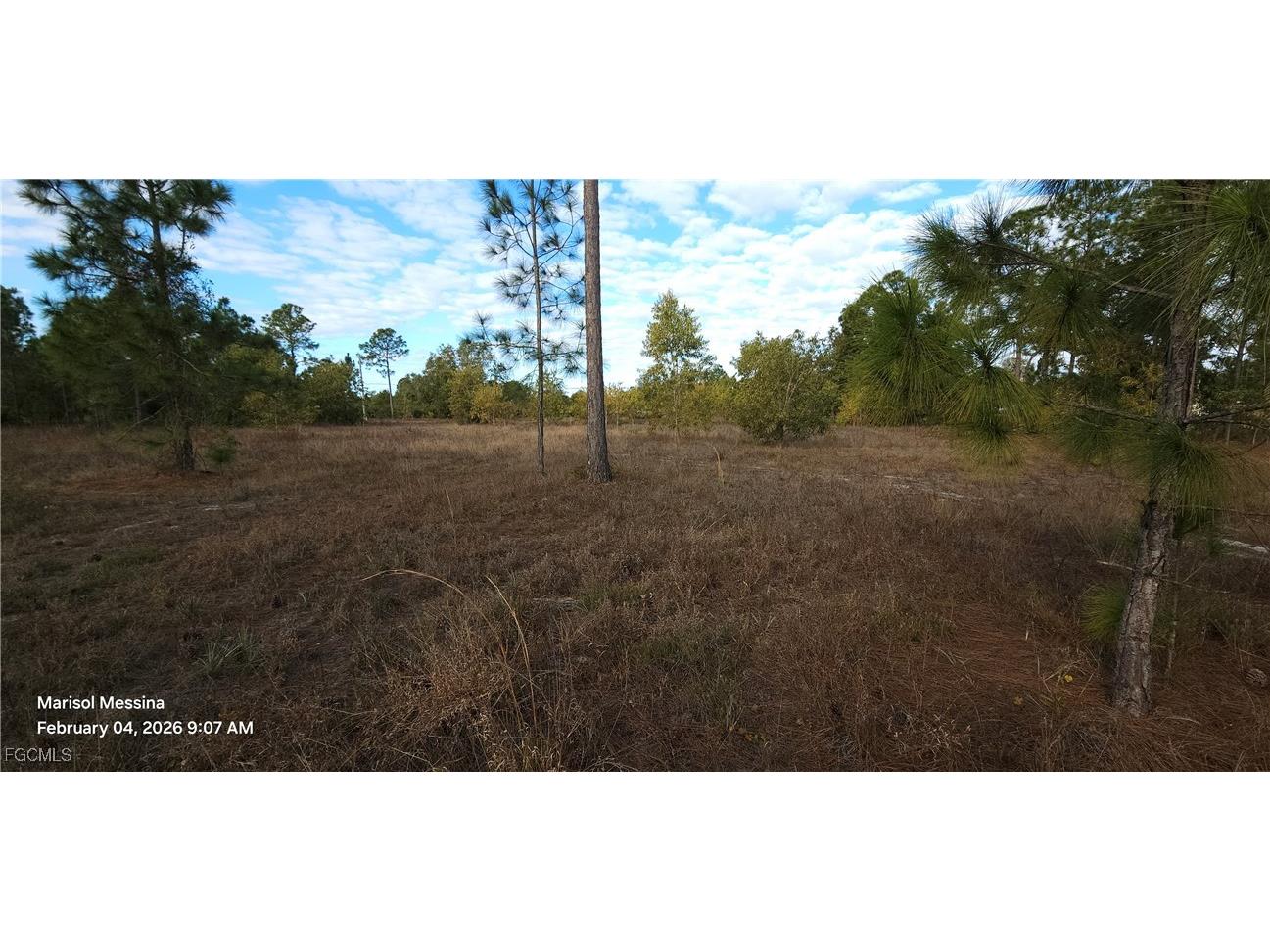 1116 Columbus Avenue Lehigh Acres FL 33972 2026006526 image11