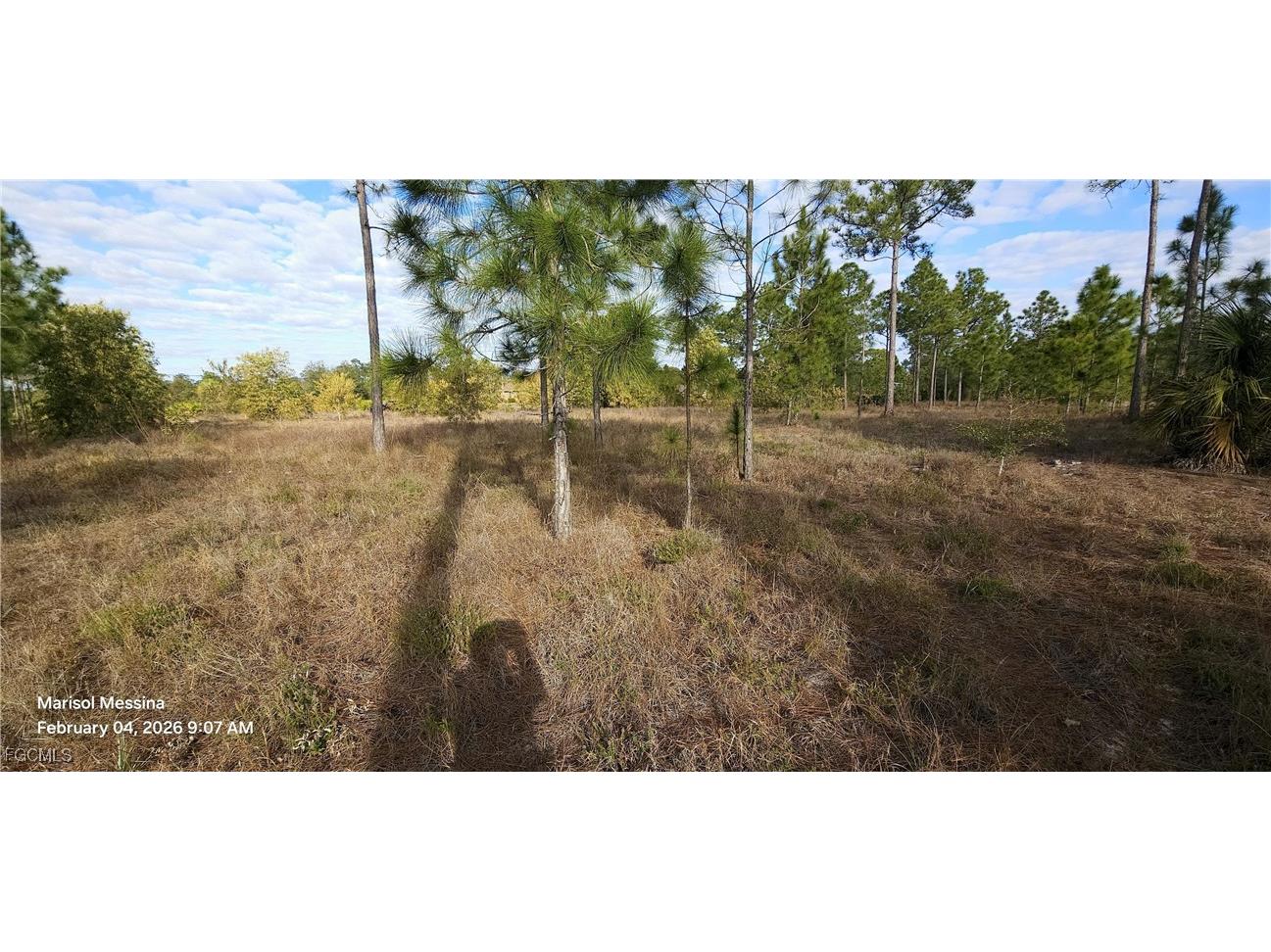 1116 Columbus Avenue Lehigh Acres FL 33972 2026006526 image12