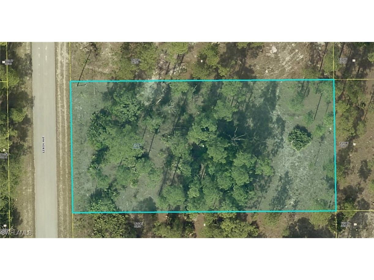1116 Leroy Avenue Lehigh Acres FL 33972 224066697 image1