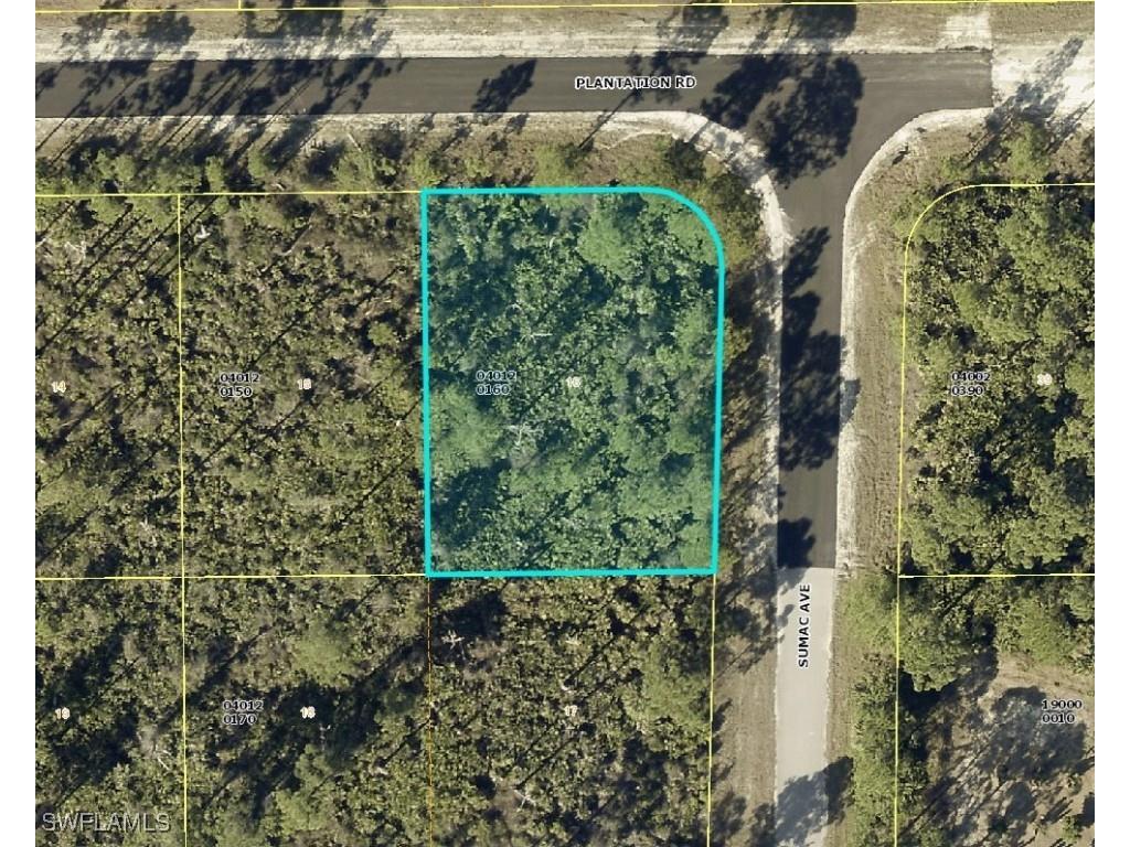 1116 Plantation Road Lehigh Acres FL 33974 225041737 image1