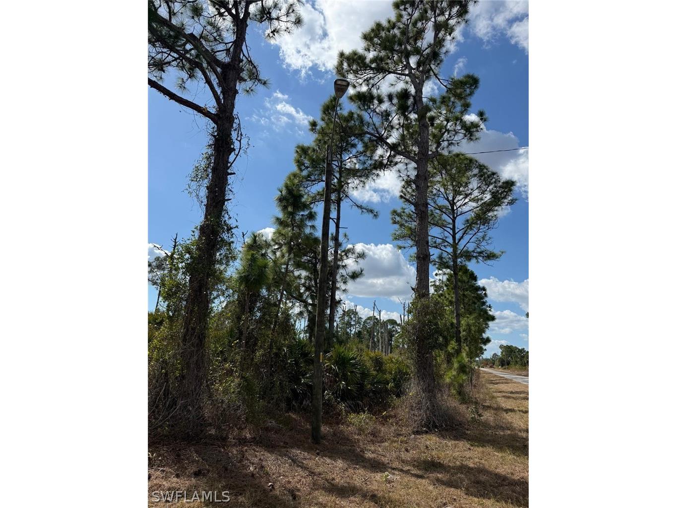 1116 Plantation Road Lehigh Acres FL 33974 226006225 image4
