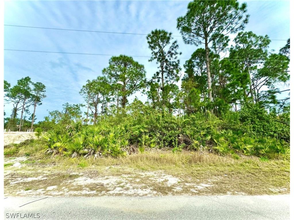 1117 Augusta Street E Lehigh Acres FL 33974 224027017 image1