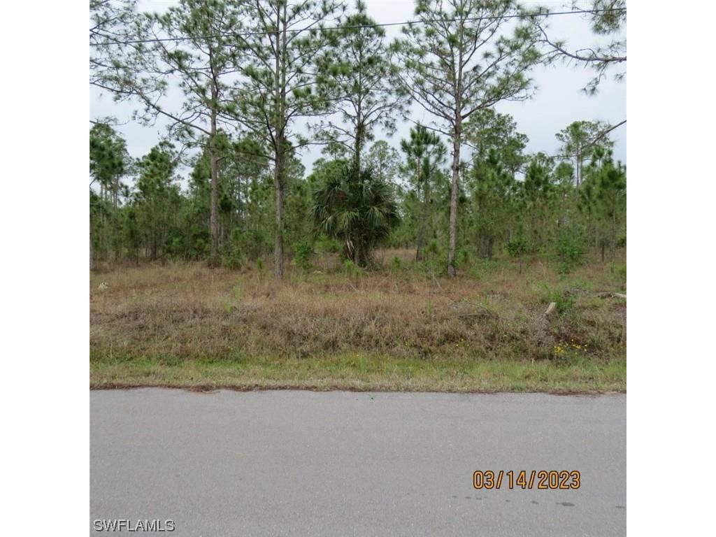 1117 Mcarthur Avenue Lehigh Acres FL 33936 223020257 image1