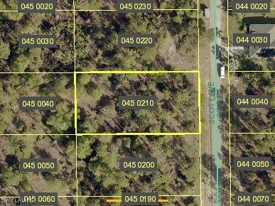 1117 Scott Avenue Lehigh Acres FL 33972 225065970 image1