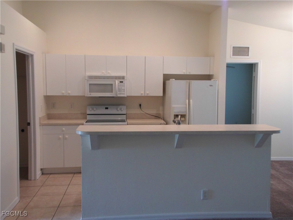 1117 Venetia Street Lehigh Acres FL 33974 2025013041 image3