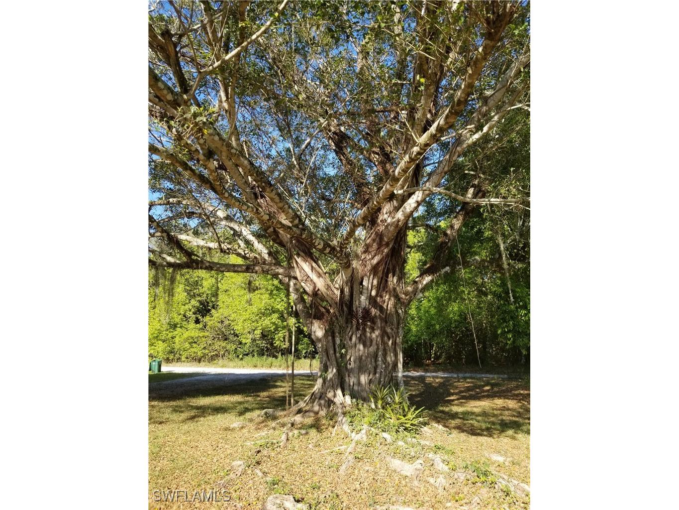 11170 Lager Lane Naples FL 34114 226005498 image14
