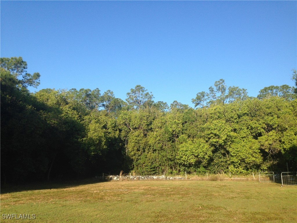 11170 Lager Lane Naples FL 34114 226005498 image17