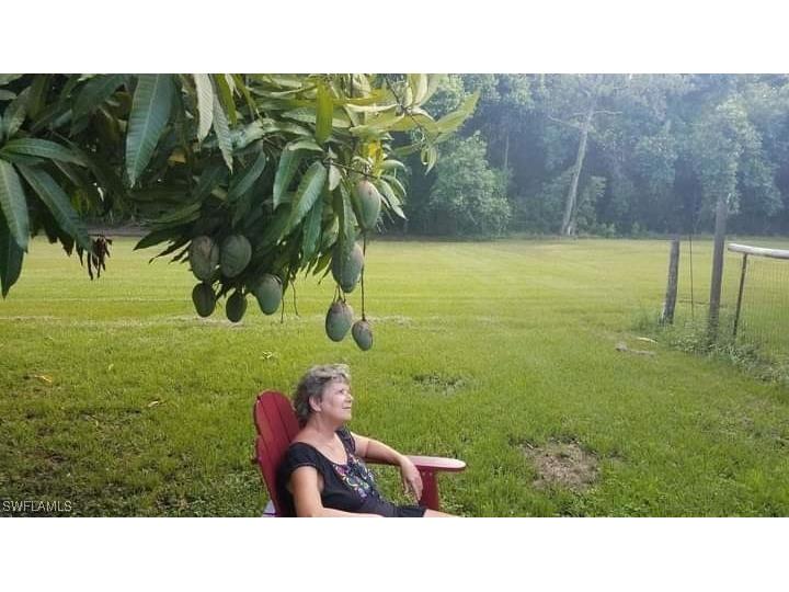 11170 Lager Lane Naples FL 34114 226005498 image21