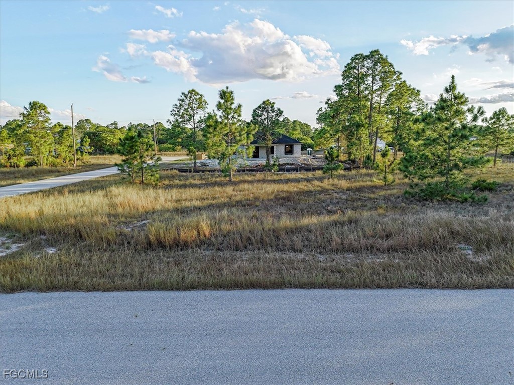 1118 Orient Street E Lehigh Acres FL 33974 2026004179 image1